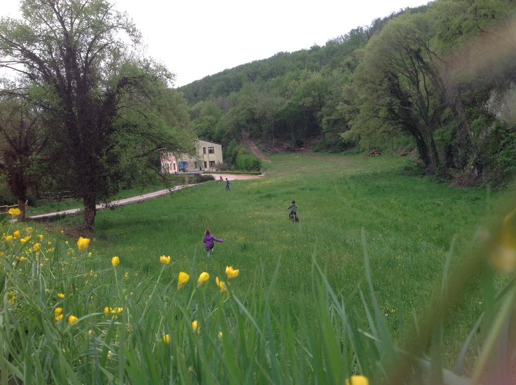 Agriturismo Altobello Verona Exterior photo